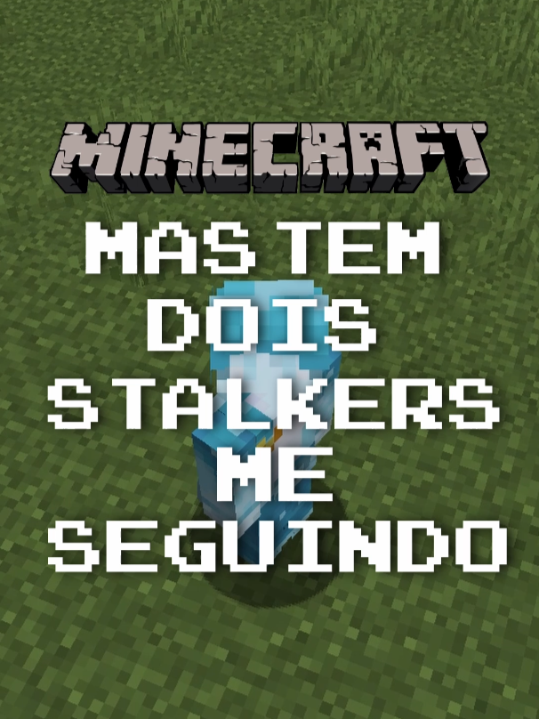 Minecraft mas tem dois stalkers me seguindo #Minecraft #foryou #fyp