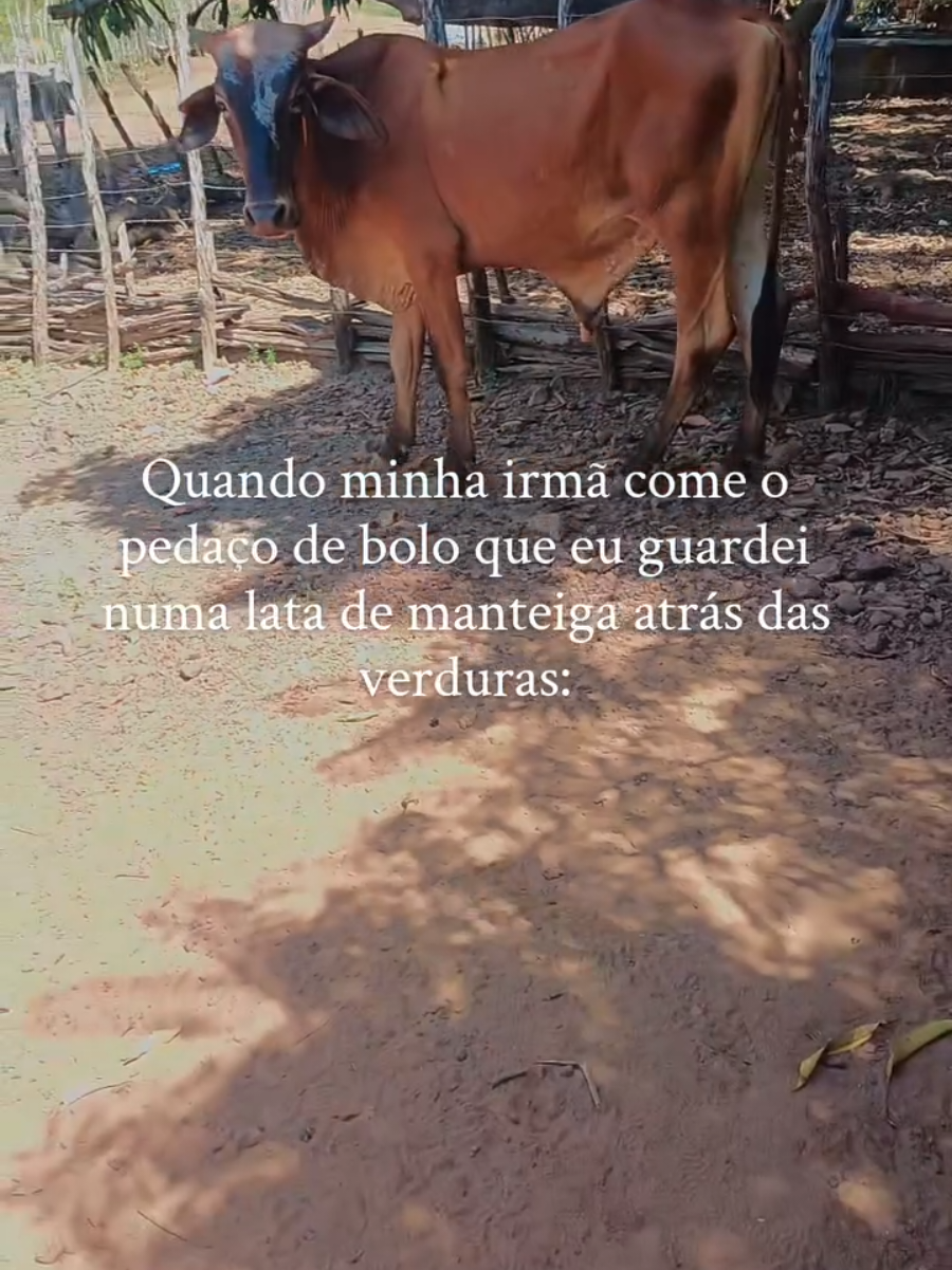 onde é q tu ta pra nós se acabar na porrada #irmaos 