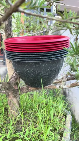 [10 Cái] Chậu Nhựa T33 Kích Thước 30x16Cm 2 Màu Đỏ Đen#xuhuong #thinhhanh #giadungtienich 