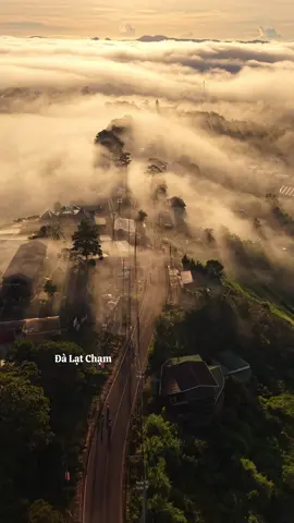 Ở Đà Lạt mây ôm núi , núi ôm mây ! #dalatcham 