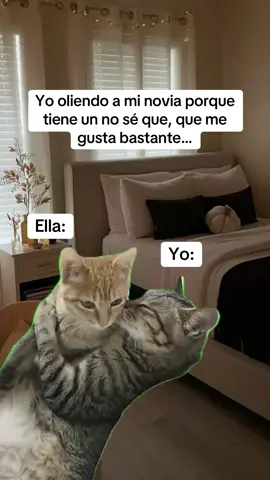 #humor #paratii #toxica #Meme #MemeCut 