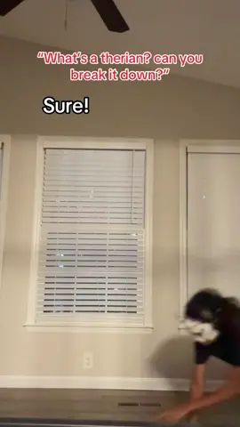 Ft: my service dog in training. He was being surprisingly polite during filming!