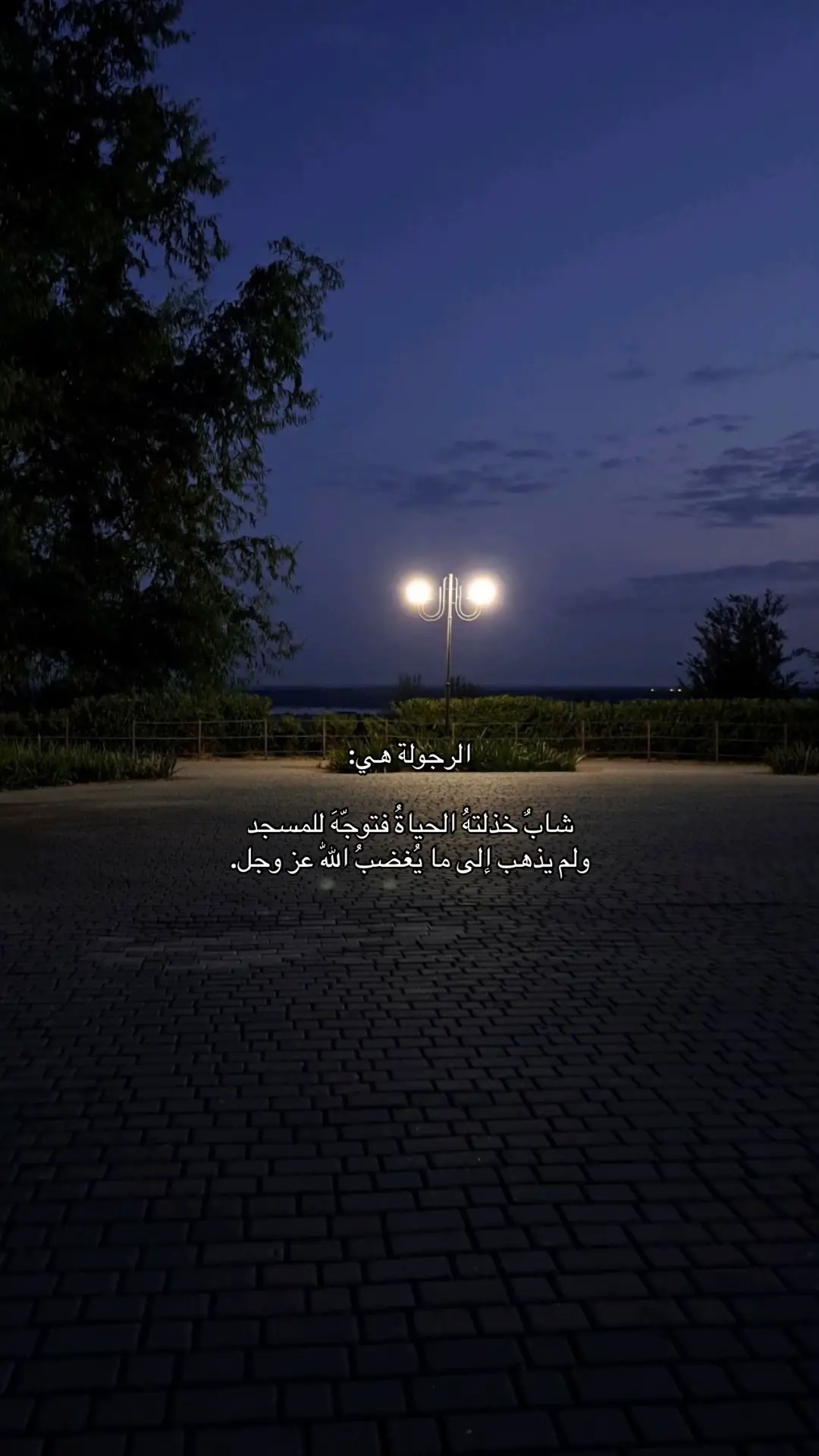 223 |  الرجولة هي                #يارب  #fyp #foryoupage #viralvideo  #اكسبلور؟ 