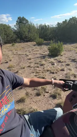 Fun day at the ranch 