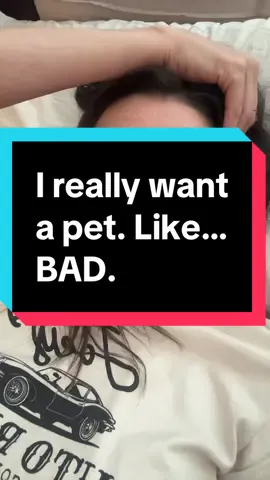 Cat tax accepted in comments. 