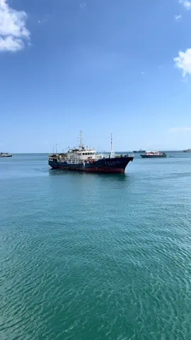 Lurong yuan yu 136 #pelautindonesia🇲🇨🇲🇨 #pelautindonesiatiktokviral #longline #fijitiktok🇫🇯 #foryoupage❤️❤️ #pejuangdolar🤑 #nkrihargamati🇮🇩 #fishingvessel 