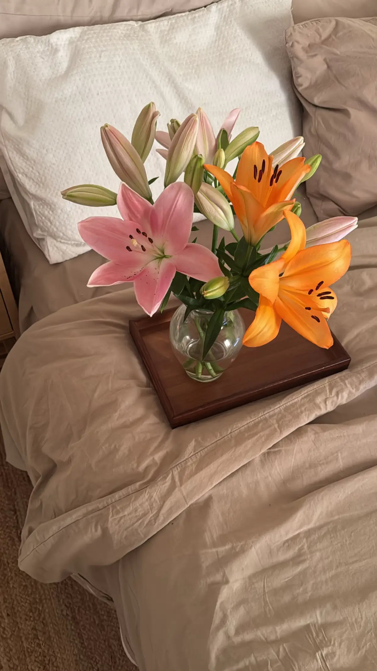 fall in love again and again 🪄💫🌟💫