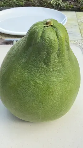 วีธีปลอกส้มโอ รวดเร็ว ง่ายและออกมาสวยน่ากิน #ส้มโอ#ผลไม้ #fruits 