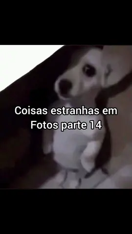 coisas estranhas capturados em fotos parte 14 #humor #terror #meme #fyp 