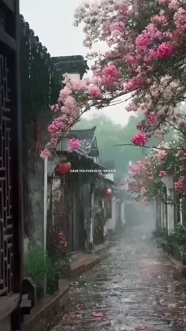 #Music #classic #nature #rain 