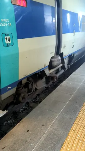 🇰🇷 🚅 KTX #southkorea #korean #busan #trendingvideo #viral 