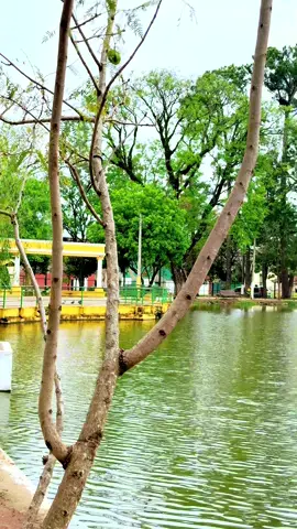 Ykuã Pytã de Villarrica 🥰 #paratiiiiiiiiiiiiiiiiiiiiiiiiiiiiiii  #villarricaparaguay 