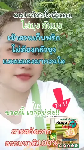 #วันนี้ในอดีต