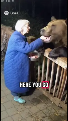 Grandma is so sweet #fyp #ai #sora #bear #grandma