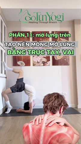 |YOGA|: tay vai là sức mạnh, lưng trên là đường cong kỳ diệu của cơ thể . TJap Yoga và mở lưng trên thôi các tình yêu ơi #yoga #yogi #tunyogi #molungtren  #yogaart  
