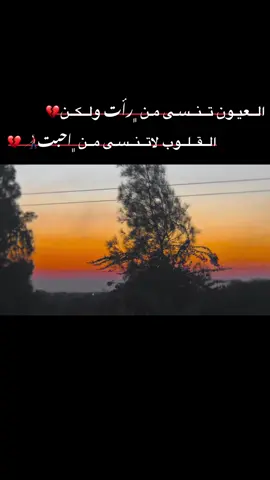 الــقــلــوب لاتــنــسـى مــن ﮼احــــبــت👨🏻‍🦯💔#تصويري📸 #اخر_اشي_نسختو💭🥀 #عبرات_من_القلب💔💔 #مشهير_التيك_توك #مجرد________ذووووووق🎶🎵💞 