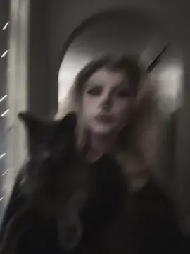 Smokes aint havin it hagahaha #greykitty #cattok #lilpeep #fypシ #catsoftiktok 