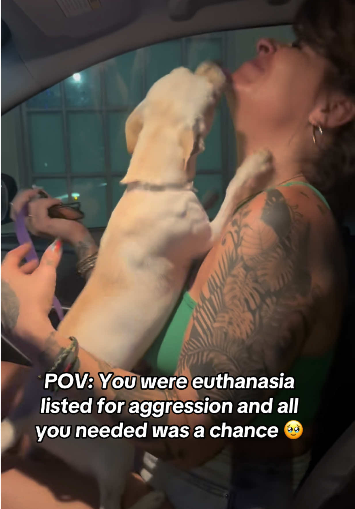 Yesterday, this tiny soul was on the euthanasia list. Labeled “rescue only,” “aggressive,” and “timid.” No interest. No hope. Just another name on a list. But here’s the truth ⏤ five minutes out of the shelter, she melted into my arms. Tail wagging, eyes soft, heart open. She wasn’t broken, she was scared. She didn’t need a label, she needed a chance. 💔✨ Every single day, dogs like her are listed and labeled as “behavioral,” “fearful,” or “unadoptable.” Most of the time, it’s not aggression — it’s the trauma of confinement, fear, noise, and neglect. The shelter environment can break even the gentlest spirits. But with love, patience, and safety — they bloom. 🌸 Adopt. Foster. Share. Save a life. Because sometimes all it takes is five minutes of freedom. 🐾💛 #CompassionKind #RescueStory #FromEuthListToLoved #AdoptDontShop #ShelterDog   