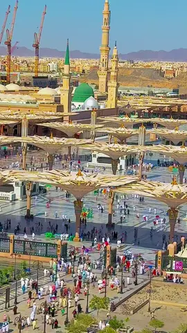 Bari Umeed Ha Sarkar Qadmon #makkah #islamicvideo #islamicstatus 