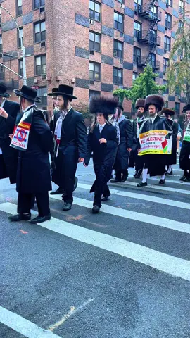 Meanwhile …. #meanwhile #hasidic #midtownmanhattan 
