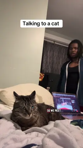 #thechosen112 #fypage #funnyvideo #cat #catsoftiktok 