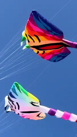 Videonya boleh kalian ambil 📍HSINCHU(nanliao) International kite festival  #mentahanvideo #original #hsinchu_city #nanliao #taiwan