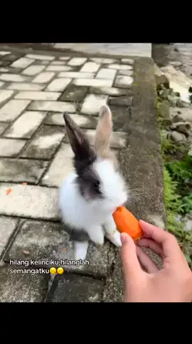 #kehilanganmuberatbagiku #kehilangan #fyp #sad 