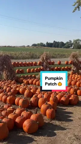 A fun day at the Pumpkin Patch & Apple Orchard with family! #october #pumpkinpatch   #appleorchard #autumnvibes #familytime 
