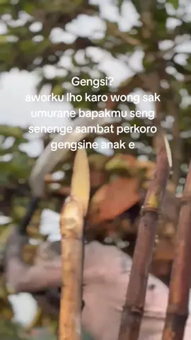 nek sekirane gaiso ngunggahno Drajate wong tuo setidak e Ojo nyusahno wong tuo #sragen24jam #fyp #pejuangnafkahkluarga 