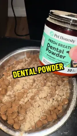 Take care of your dogs dental health before it’s too late! #dogcare #dogdental #doglover #gingivitis 