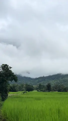 🍃🌧️🤍 #สตอรี่ท้องฟ้า #วิวธรรมชาติสวยๆ #วิวบ้านนอก🍃 