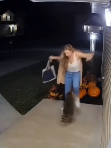 #raccoon 
