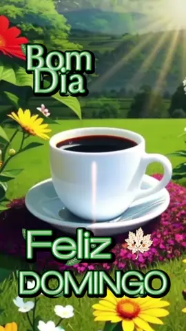 FELIZ DOMINGO ABENÇOADO  Amor, fé e luz para sua família! #FelizDomingo #MensagemAbençoada #cicerasantos  #bomdia 