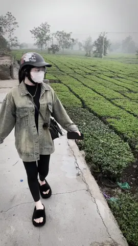 Ních cũ mất thì ta đăng lại ních mới 😅🥰@Linh🍓 