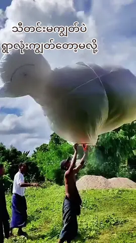 ဟေ့ဟေ့ဟေ့ဆိုပီးလက်ခုပ်လေးကတီးလိုက်သေးဟာသအနေနဲ့ကြည့်ပါနော်#fpyシviral #fyp #foryou #tiktokindia #ဒီတစ်ပုဒ်တော့fypပေါ်ရောက်ချင်တယ် 