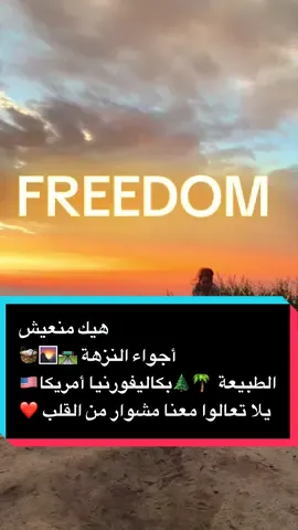 يلا تعالوا معنا مشوار من القلب ❤️ على بحيرة Lake Arrowhead بكاليفورنيا، أجواء خرافية بين الغابة والبحيرة 🌲✨. أخدت المقلوبة والبقجة الأردنية، وقلبناها عالطبيعة 😍🇯🇴 يوم عربي دافئ بوسط كاليفورنيا الأمريكية – هيك بنعيش الحنين بطريقة حلوة 💙 #تعالوا_معنا #LakeArrowhead #CaliforniaVibes #مقلوبة #حياة_العرب_بأمريكا #يوميات_تالا_جازي #TalaJazzyTV  #اكسبلور #بقجة_اردنية #tala_jazzy #عربي  #عرب_تيك_توك #tiktokarab #tiktok #ArabTikTok #arab_usa #usa #viral #fy #fyp #arab #عرب #usa_tiktok 