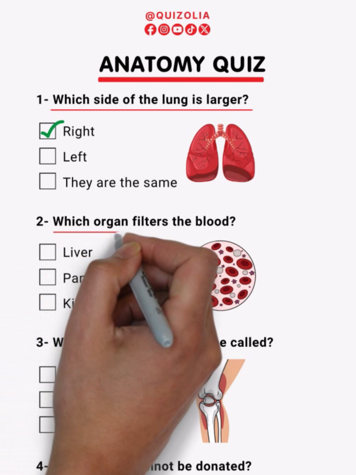 Anatomy Quiz! #quiz #quizzes #quiztime #anatomy #human