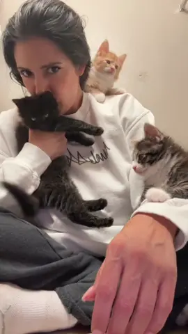 Fostering kittens is ALOT of work, but I love it. Pilar and her litter will be available for adoption after October 12, 2025 through @Hoffmeyer Animal Rescue call or text for info (352) 609-2362 #kittens #adoptdontshop #catsoftiktok  