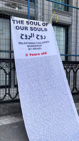 #vancouver #vancouverartgallery #palestine #fyp 