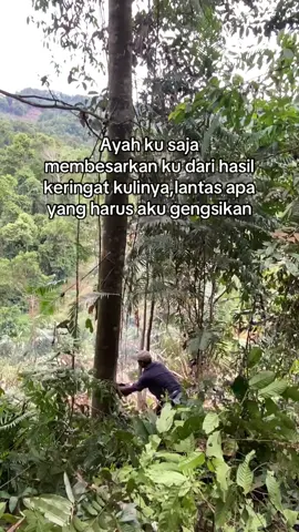 Bismillah buka lahan baru 🥰🤲 #lahanbaru🌴 #bosmuda😎 #storisawit🌴 #petanisukses💪🌾🌿 #tambahlahan