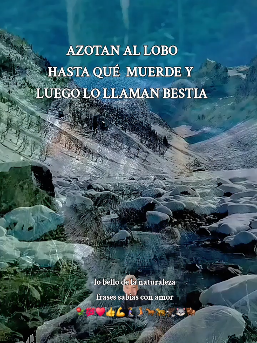 AZOTAN AL LOBO HASTA QUE MUERDE Y LO LLAMAN BESTIA #lobellodelanaturaleza  #frasessabiasconamor  #lavidareflexionmotivacion  #Azotananallobohastaquemuerde y luegolollamanbestia #tiktoktipscapcutparati  