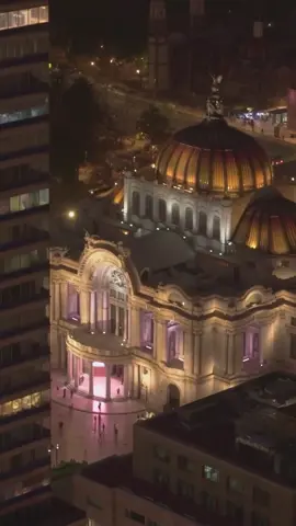 En la Ciudad de México uno no camina, sobrevive. Y aun así, la ama.