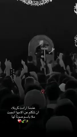 عندما ارادت كربلاء ان تتكلم عن آلامها انجبت ملا باسم صوتاً لها ❤️‍🩹 #باسم_الكربلائي #لم_اكن_فالطف_حاضر_صرت_رادود_وشاعر #احبك #صباح_الخير #سارا #يارب #سمراء_فاتنهـَـہ♡♡ #الحمدالله_علی_کل_حال❤ #كربلاء 