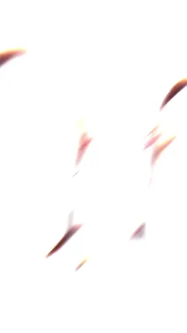 still searching for peace🎭 #fyppppppppppppppppppppppp#masukberanda#blitar24jam 