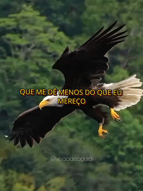 #reflexaododia #sabedoriadevida #frasesmotivadoras #tiktokmotivacional 