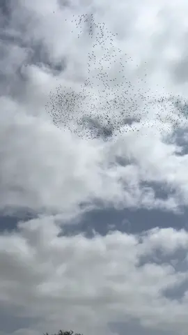 #foryou video like me ❤️❤️❤️🎶🎶🎶🎶🎶🎶🎶❤️❤️❤️❤️❤️❤️❤️❤️