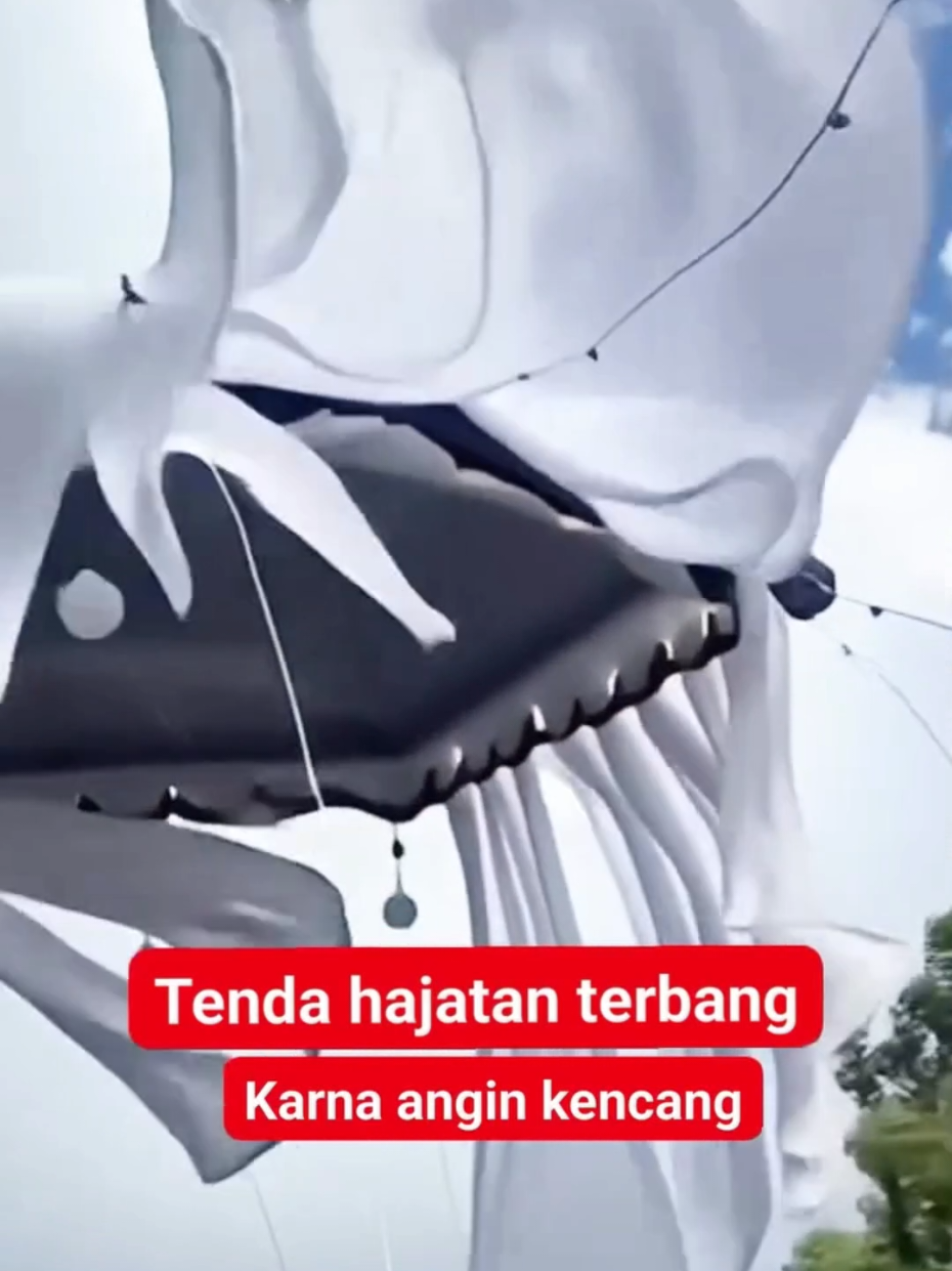 Tenda hajatan terbang Karna angin kencang..  #fyppppppppppppppppppppppp #viralvideo  #viral 