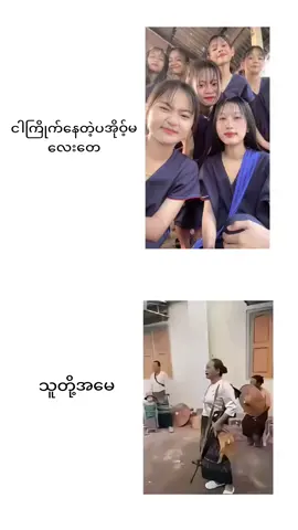 #ပအိုဝ်းမလေး ရက်ငါး#fypシ゚viral #fyppppppppppppppppppppppp 