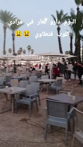 #algeria #tunisia🇹🇳 #tebessa❤🔥💪tebessya #شعب_الصيني_ماله_حل😂😂 #instagram 