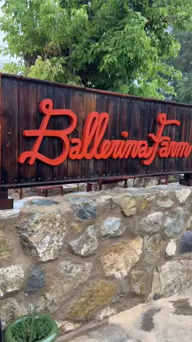 snowy canyon drives, a stop at the ballerina farm store 🩰, dairy keen lunch because… balance ❄️🍦 cozy little day in utah 🫶 @Ballerina Farm Store #utahlife #dayinthelife #wintervibes #ballerinafarm  #cozyaesthetic 